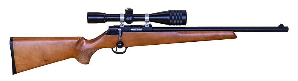 Ron's-Izmash-Sporter